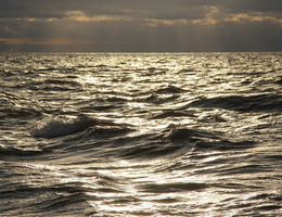 Белое море