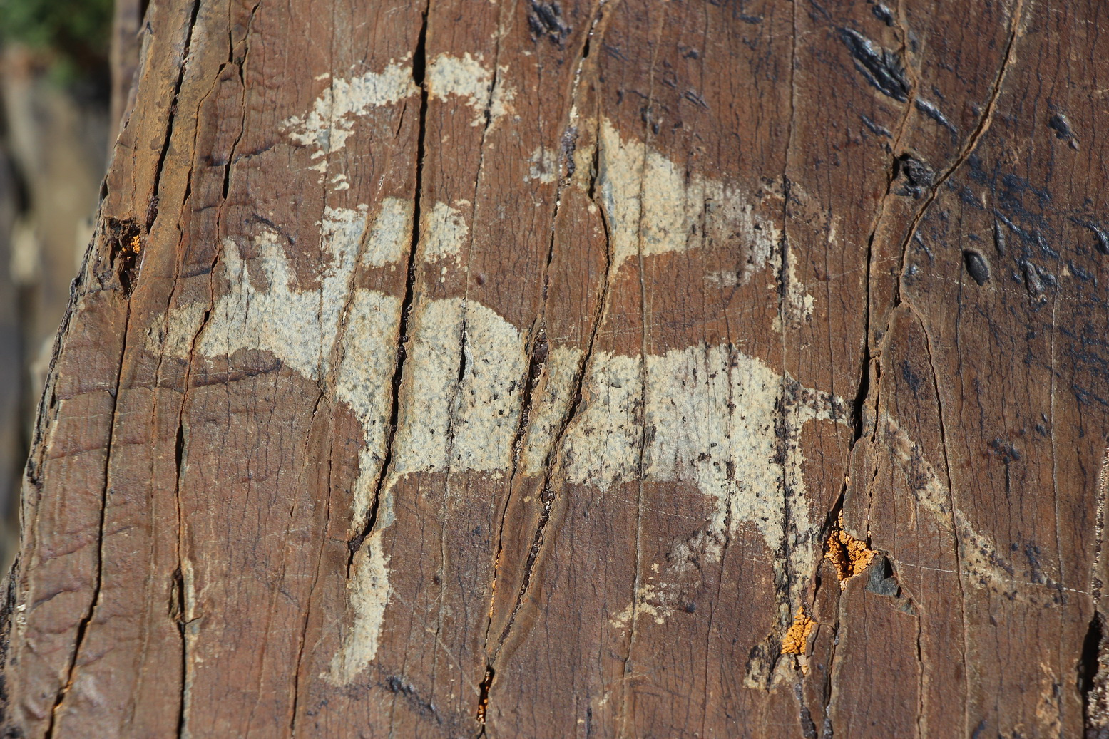 История села уходит корнями в глубокую древность, о чем свидетельствуют петроглифы