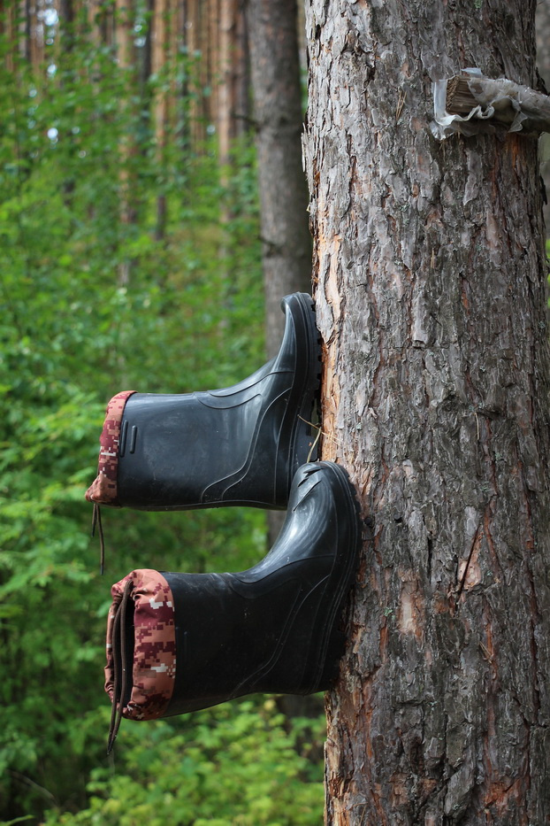 По пути к скалам можно обнаружить необычные артефакты