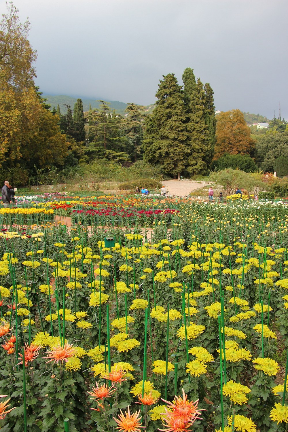В парке произрастает около 2000 растений