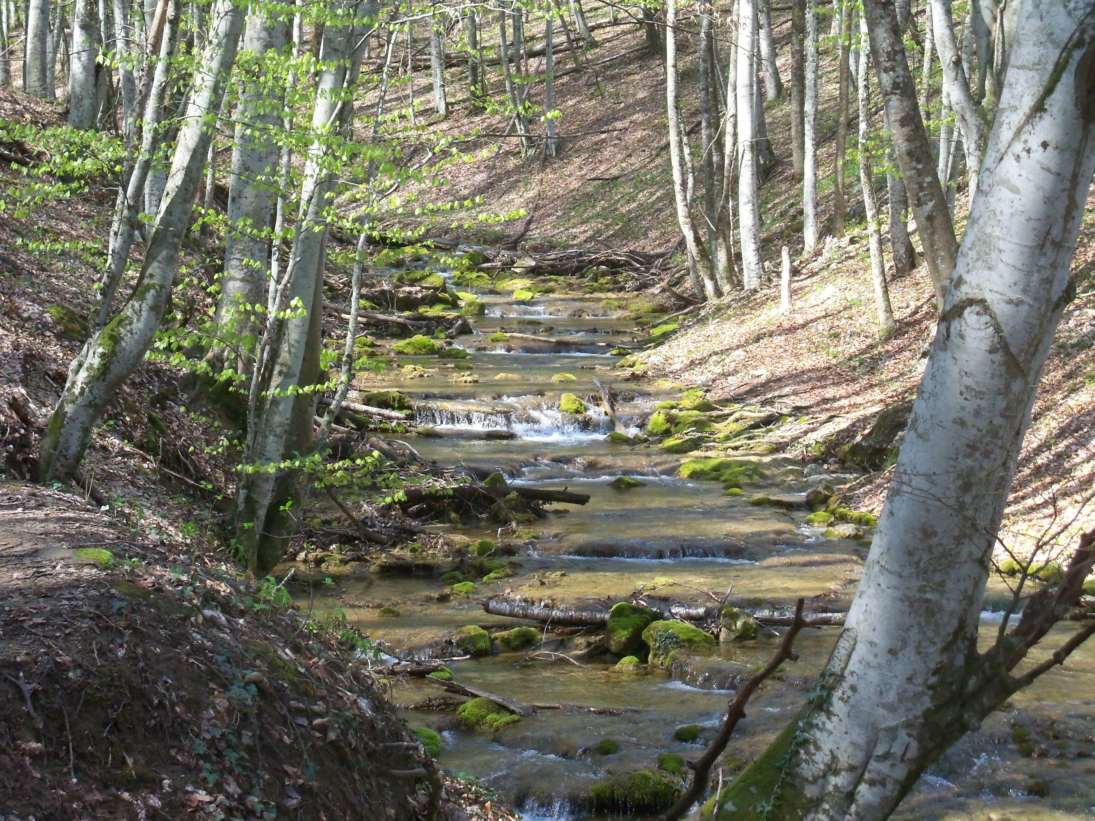 Река Сары-Узень