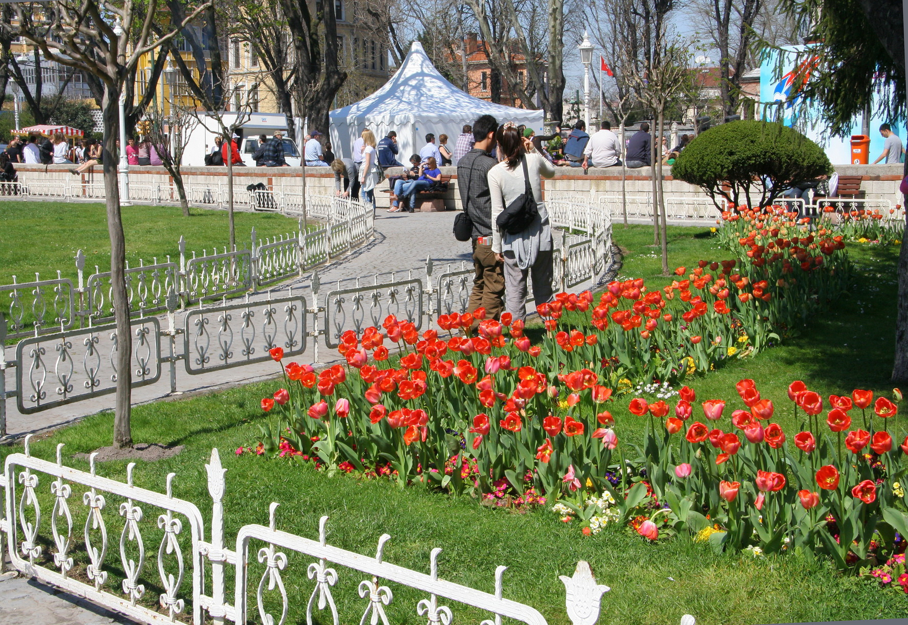 Весна — время тюльпанов