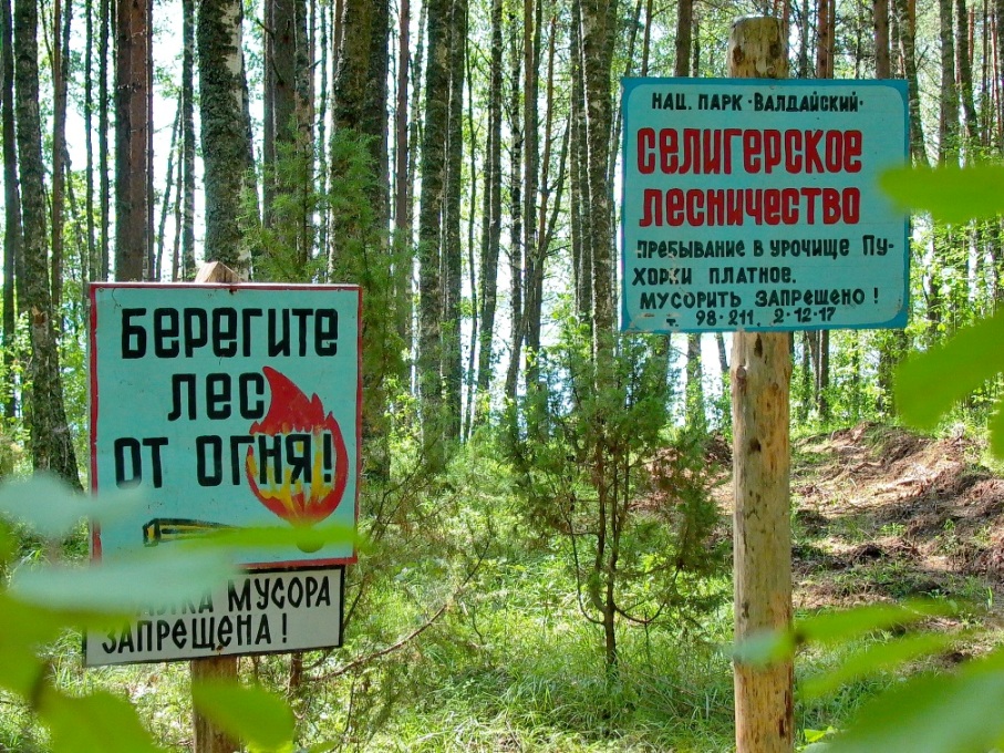 Часть новгородского побережья озера входит в состав Национального парка «Валдайский»
