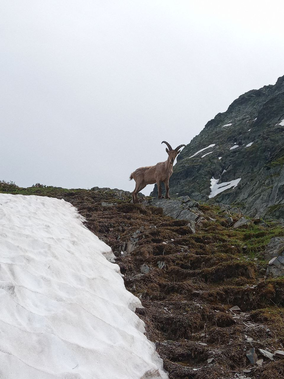 Западнокавказский тур