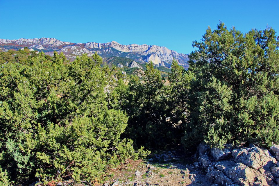 Ландшафтный заказник «Ласпи»