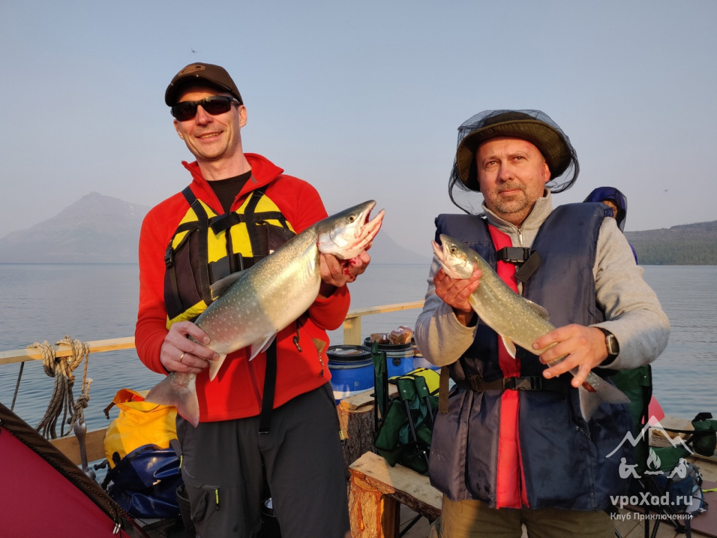 Голец, пойманный троллингом
