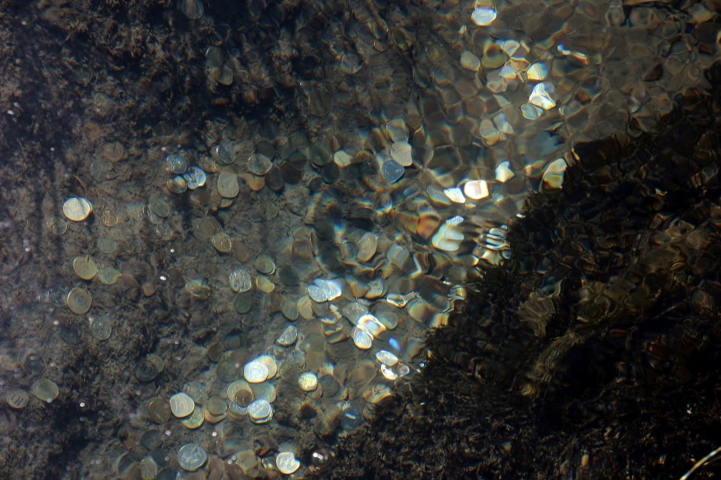 Если бросить в озеро монету, ее будет видно на глубине 5 метров