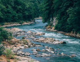 Река терек на карте кавказа