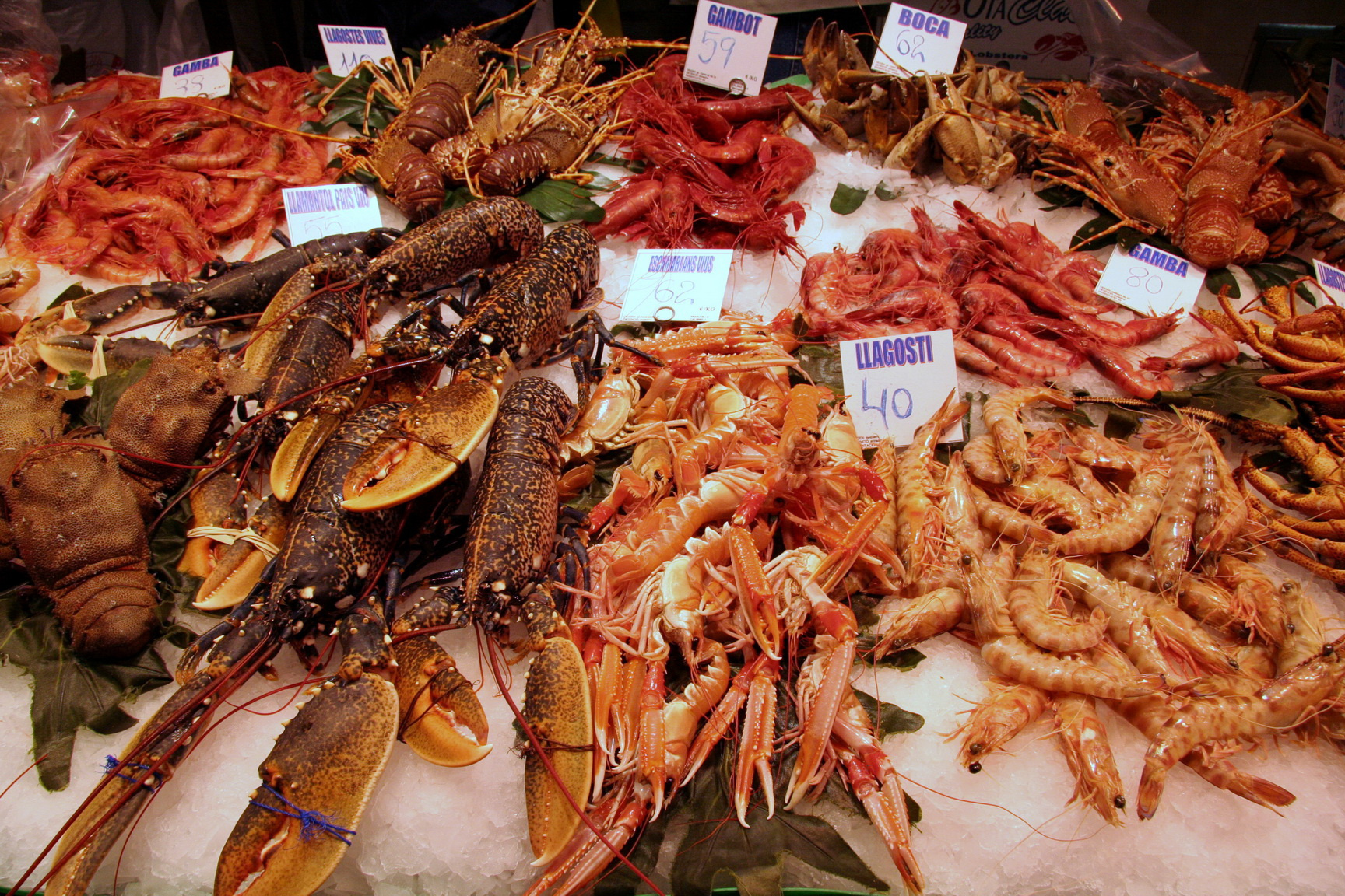 В районе Барселонета можно полакомиться свежими морепродуктами