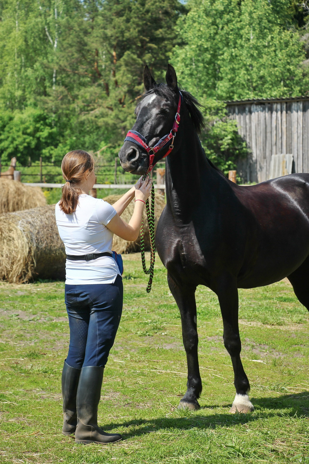В Конном клубе предлагают прогулки на лошадях