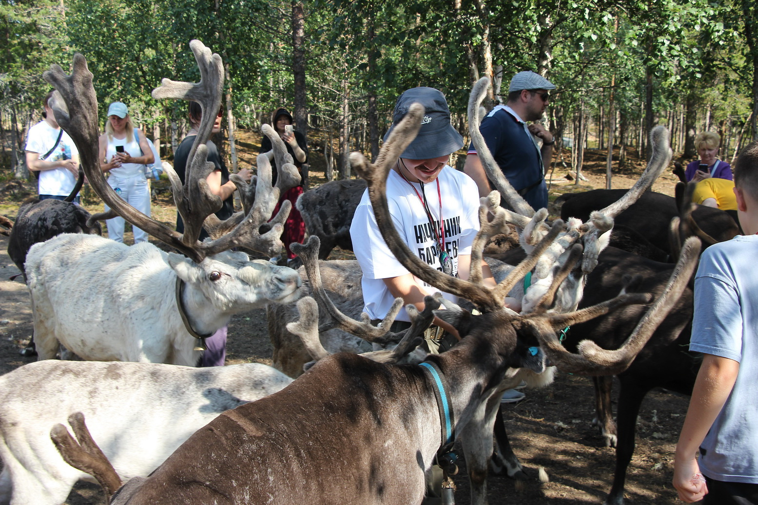 Деревня саамов