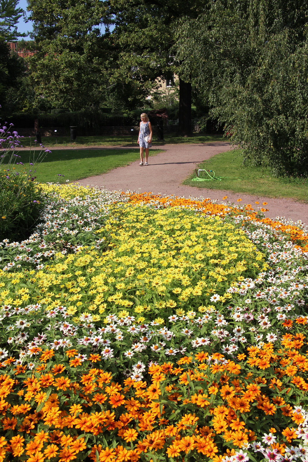 Летом сад утопает в цветах