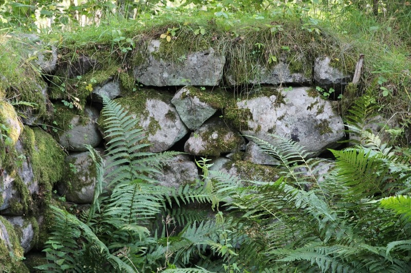 Древняя стена