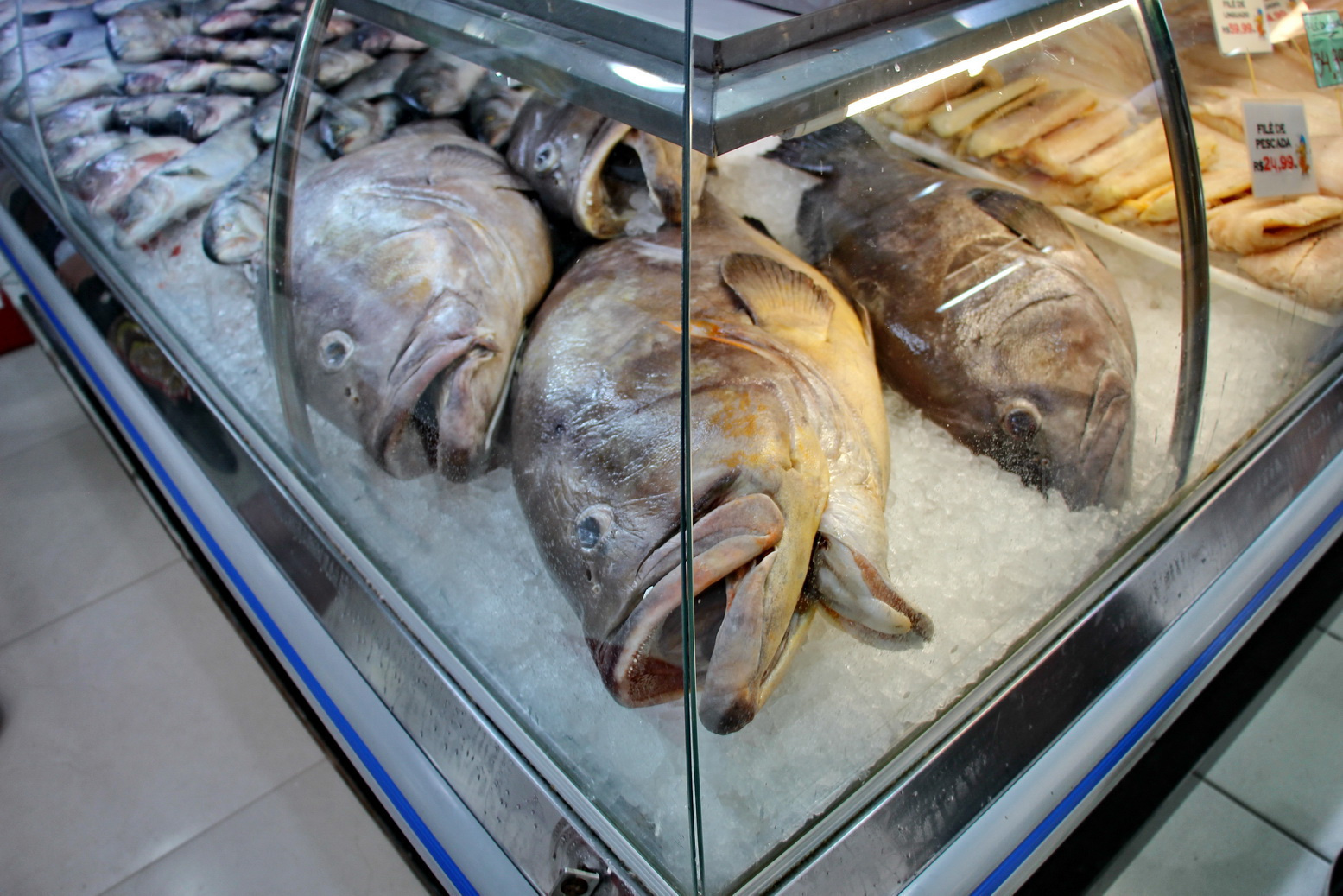 Рыбный рынок — непременный атрибут любого приморского города