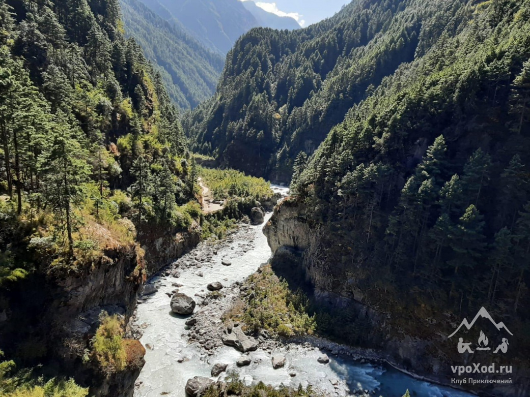 Весна — время бурного цветения природы в предгорьях