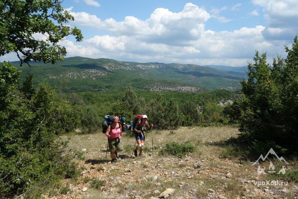В пути пригодятся трекинговые палки