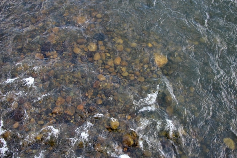 Вода в реке отличается идеальной чистотой