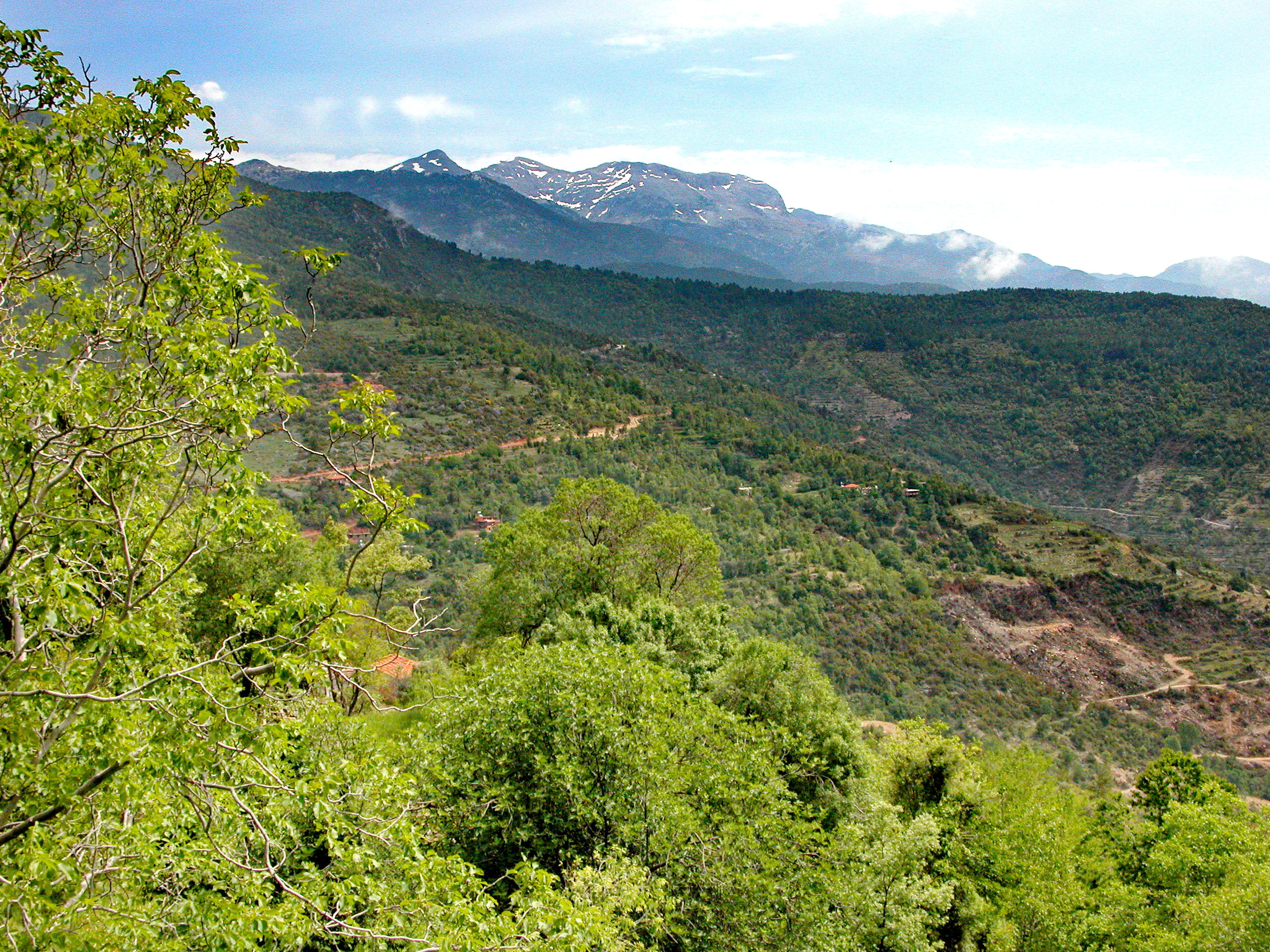 Окрестности города круглый год утопают в зелени