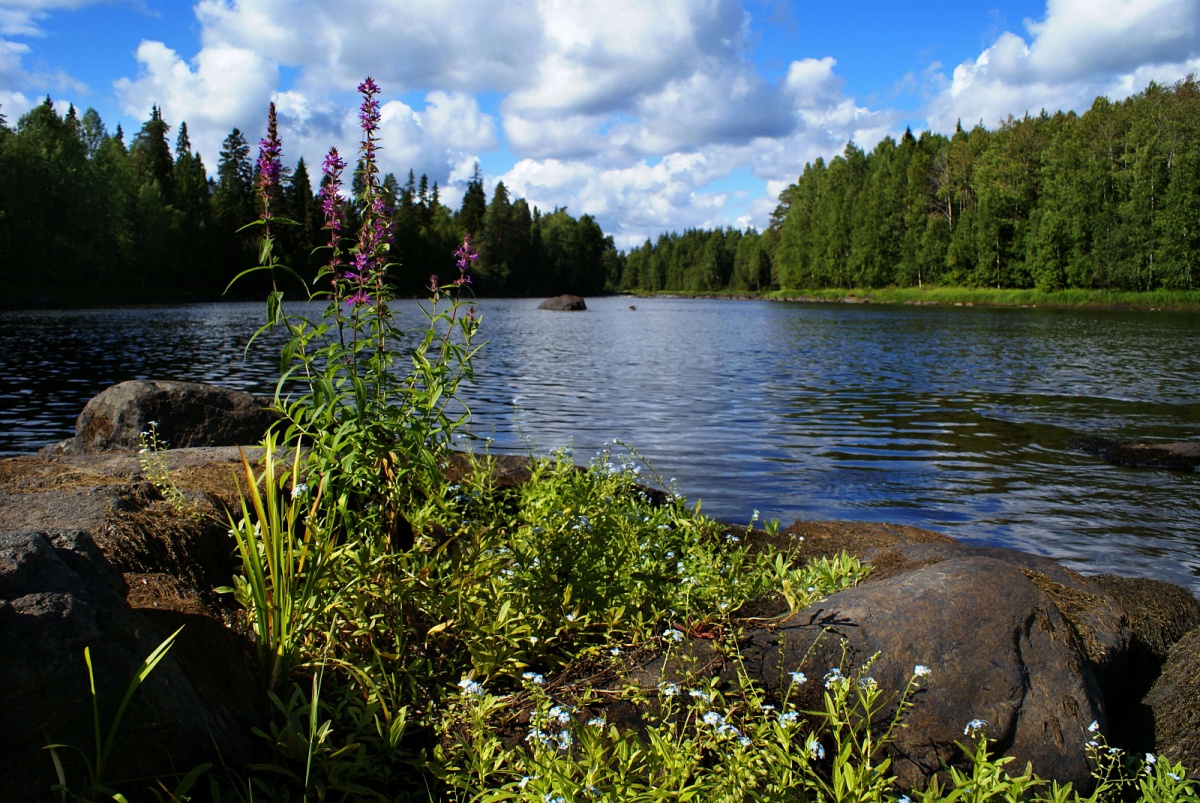 Национальный парк Водлозерский