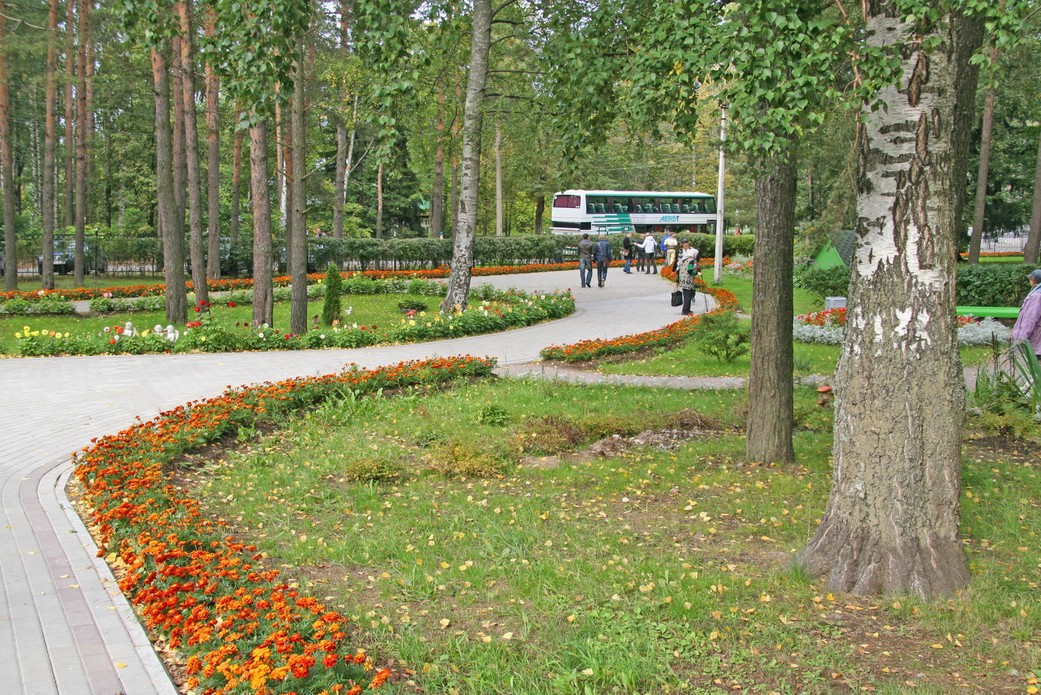 Зеленогорск утопает в зелени