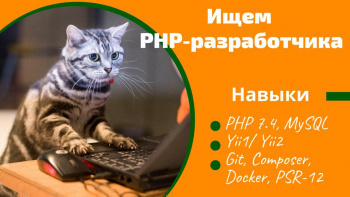 PHP-программист