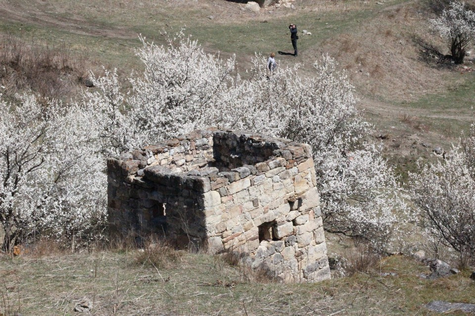 В ущелье встречаются руины древних построек