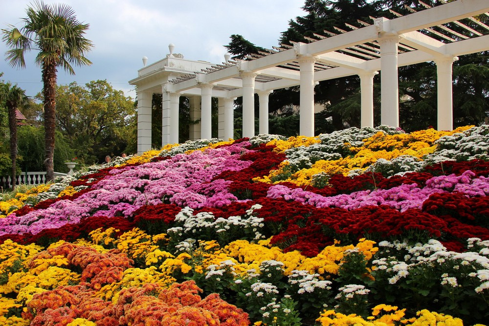 Никитский ботанический сад