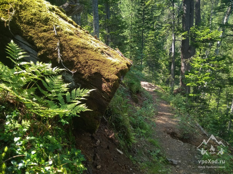 В XIX веке в этих местах мыли золото