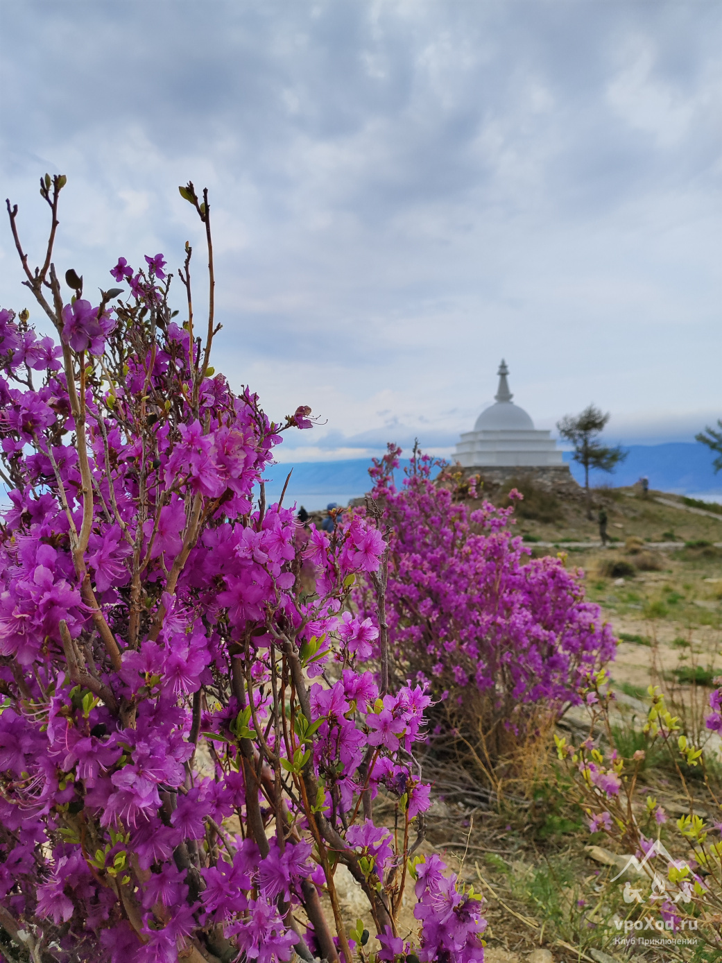 Весна на Огое