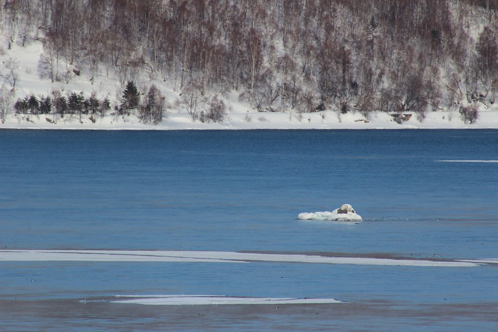 Так Шаман-камень выглядит поздней осенью