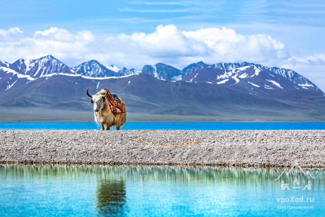 Реки, которые берут начало на Кайласе, тибетцы считают живыми существами
