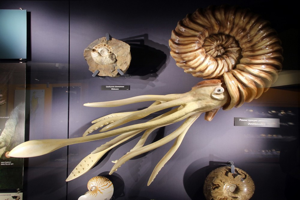 В городе действует более десятка музеев