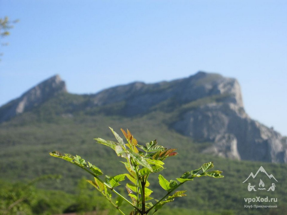 Куш-Кая переводится как «птичья гора»