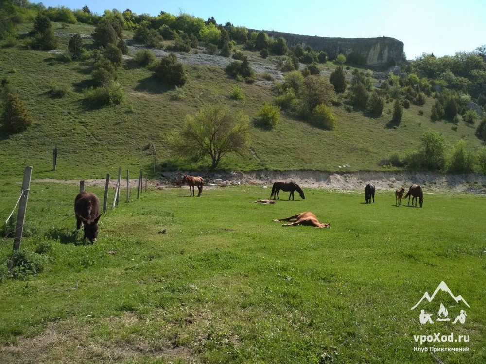 Качинская долина — это не только склоны и террасы, но и луга, и леса