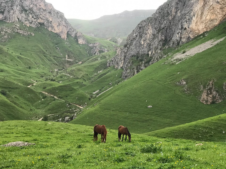 Ущелье называют армянскими субтропиками