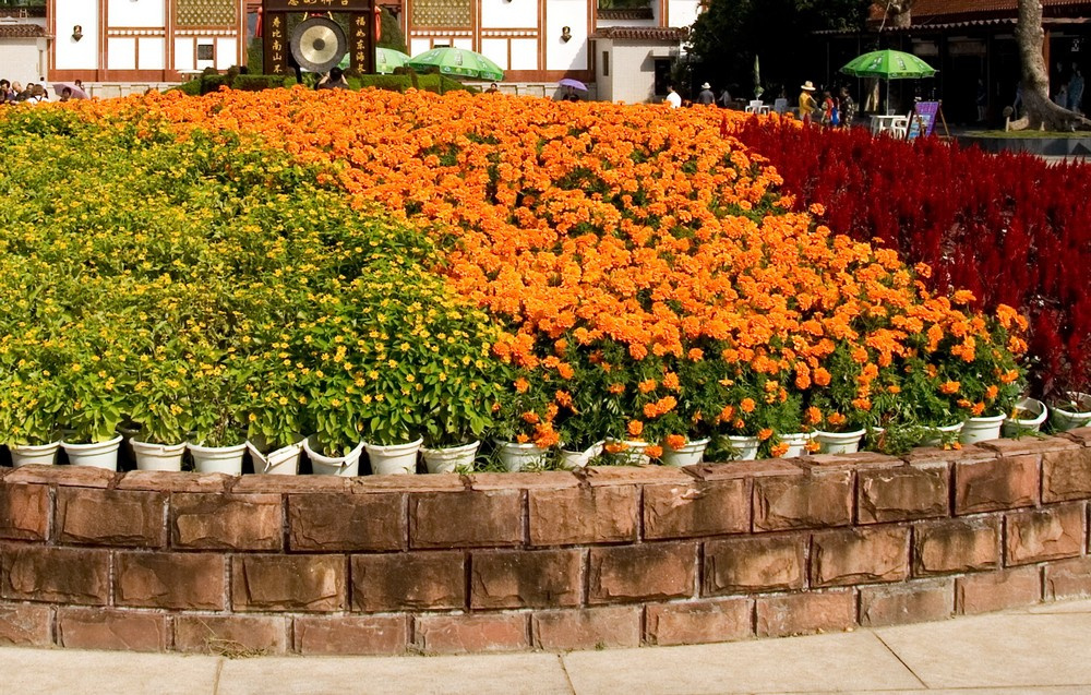 Норбулинка — это не только дворец и храм, но и роскошный парк