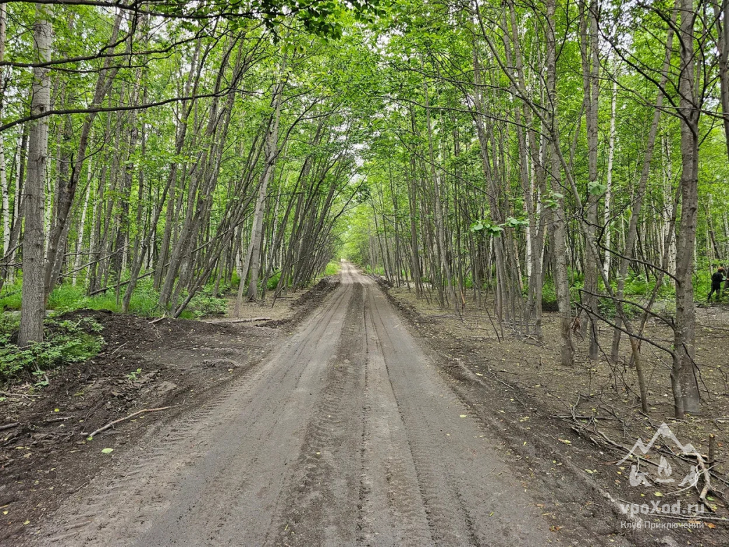 Дорога на Толбачик