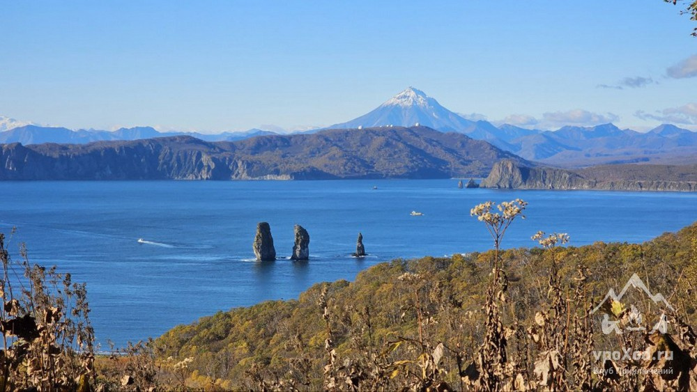 Авачинская бухтам