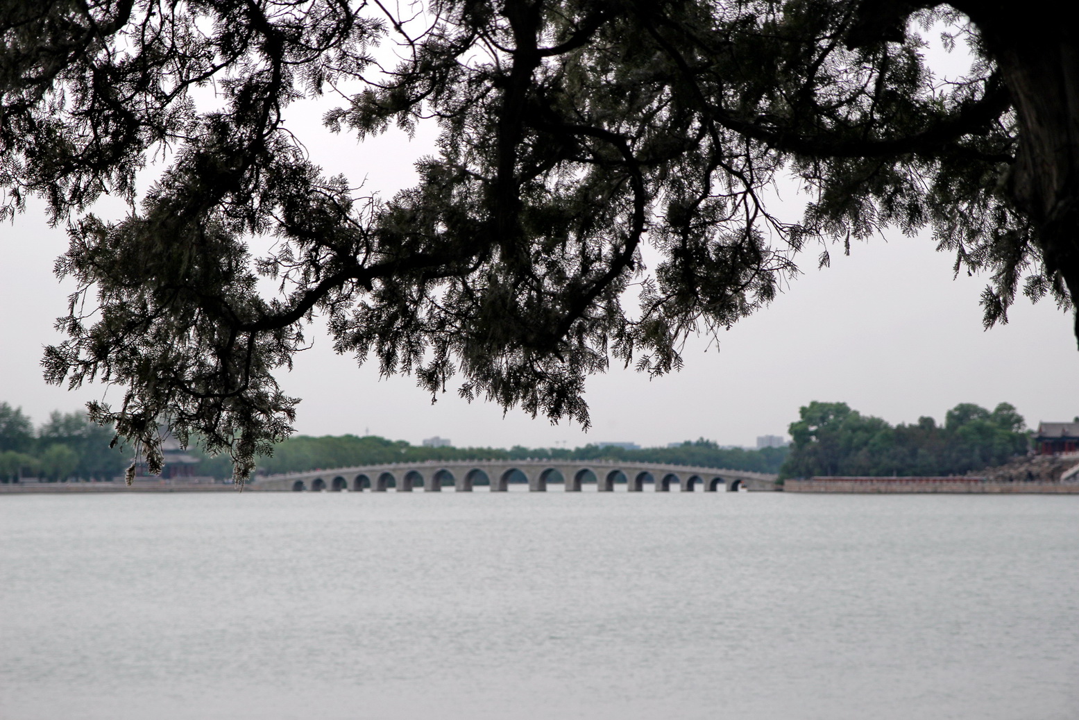Водные прогулки