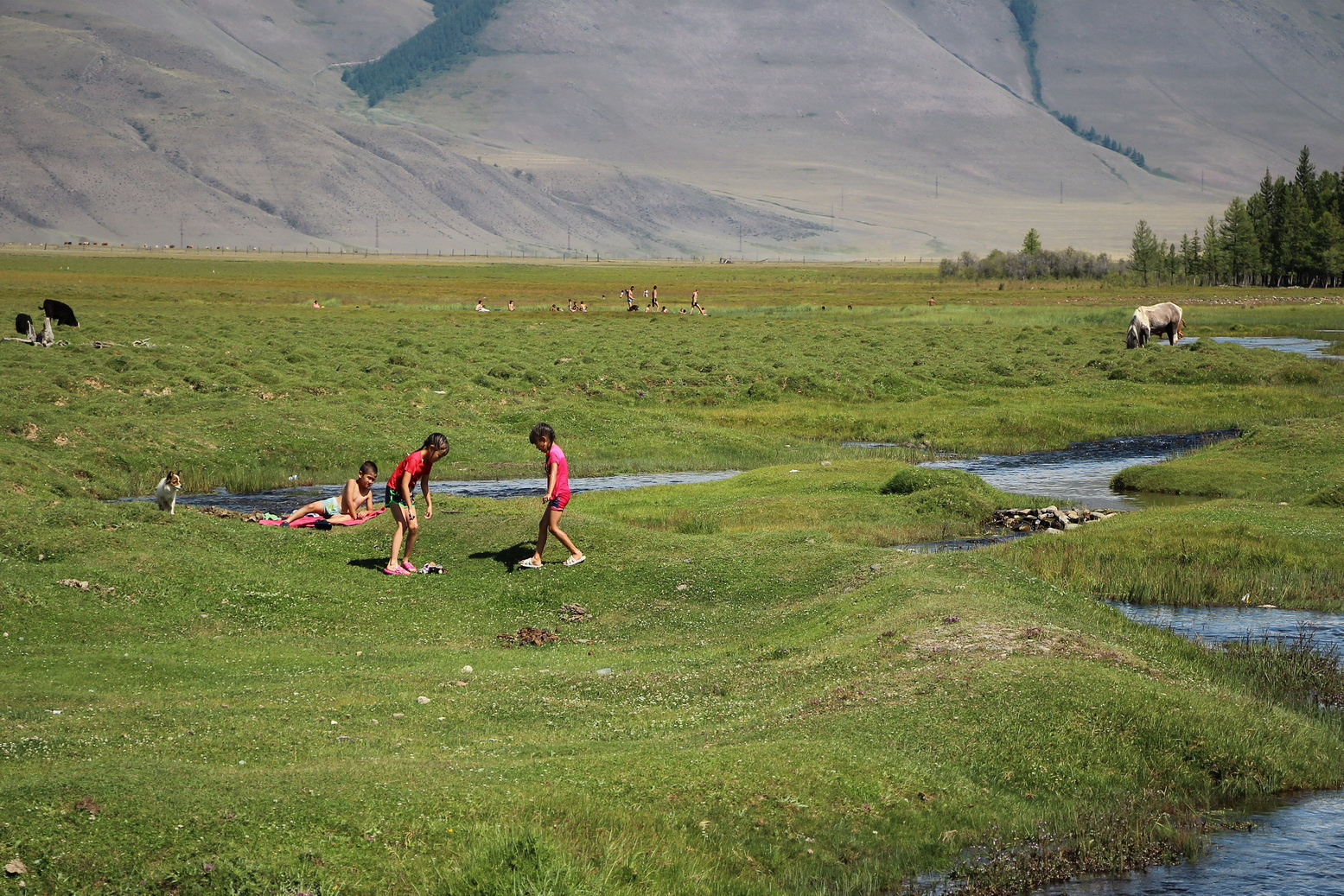 Село раскинулось в живописной долине
