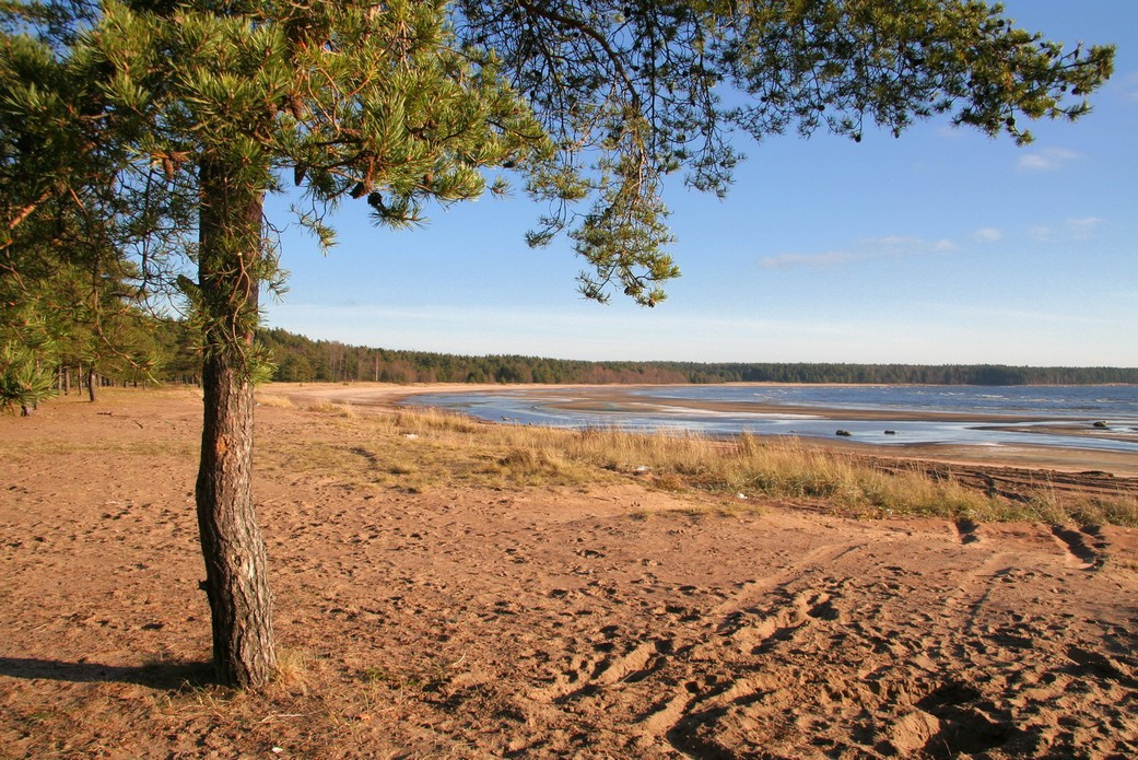 Северное побережье