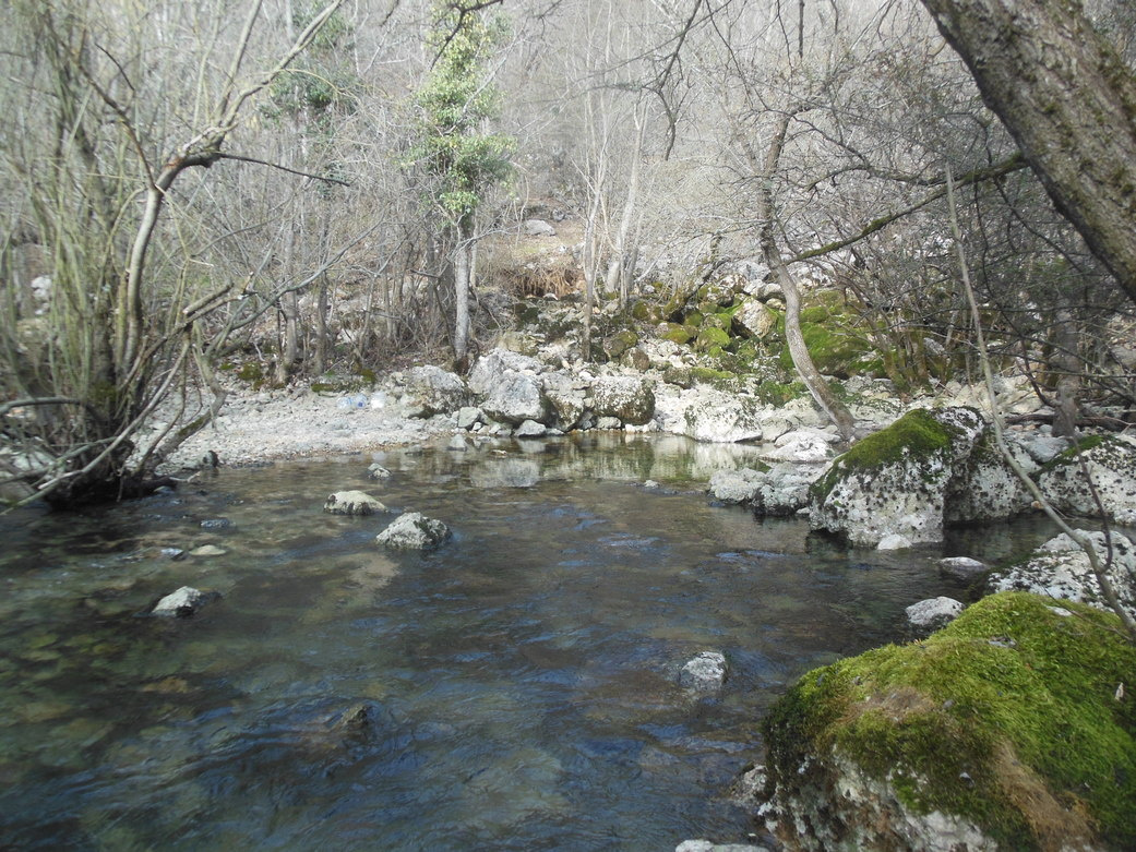 Скельский источник