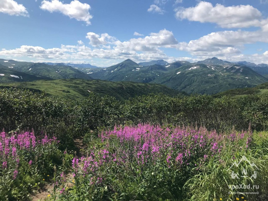 Камчатка