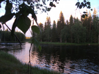 Сплав по реке Суна на байдарках