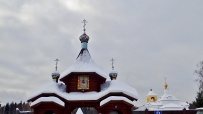 Лыжный поход «Лесная зимняя сказка» (Подмосковье)