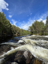 Северный прорыв: водопадные реки Кольского (Лица, Титовка, Ура, Колвица)