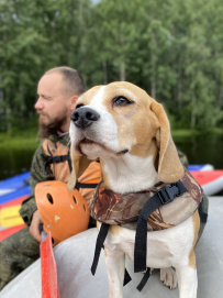 Сплав по реке Шуя