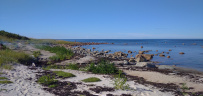 Соловецкие Острова в Белом Море (экскурсии + поход)