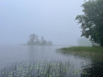 Водное ассорти с детьми: на лодках, байдарках, сапах