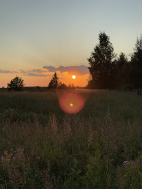 Семейный лагерь на Плещеевом озере. В гости к серой цапле
